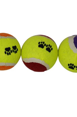 Pet Dog Tennis Balls Outdoor Sports Training Dog Fetch Toy Play 3PCS