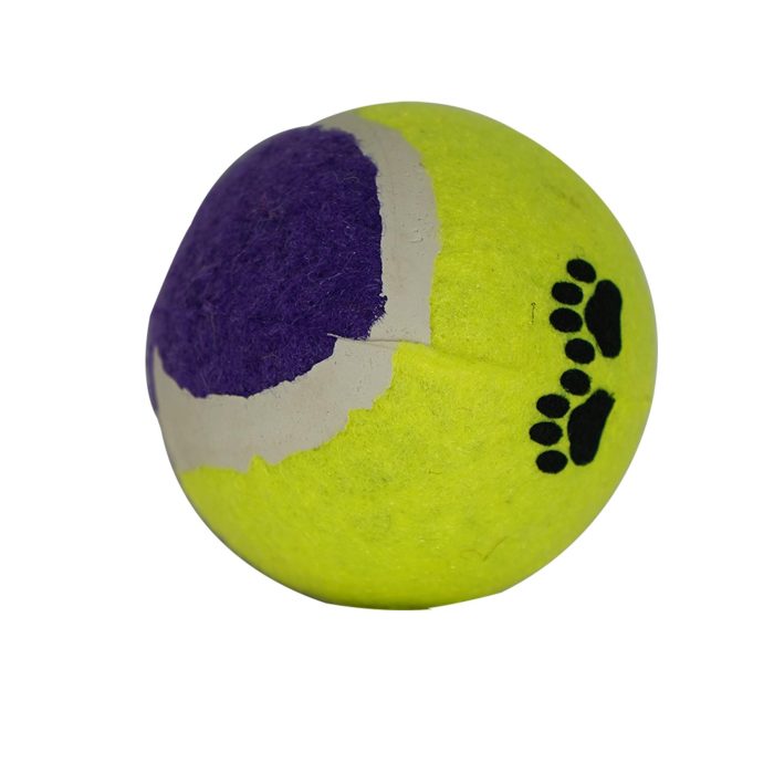 Pet Dog Tennis Balls Outdoor Sports Training Dog Fetch Toy Play 3PCS - Image 2