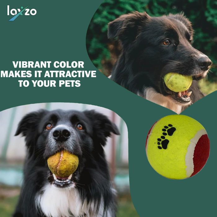 Pet Dog Tennis Balls Outdoor Sports Training Dog Fetch Toy Play 3PCS - Image 5